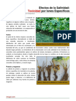 Toxicidad por iones específicos: efectos de NaCl, Ca, K, Mg, P, NO3 y SO4