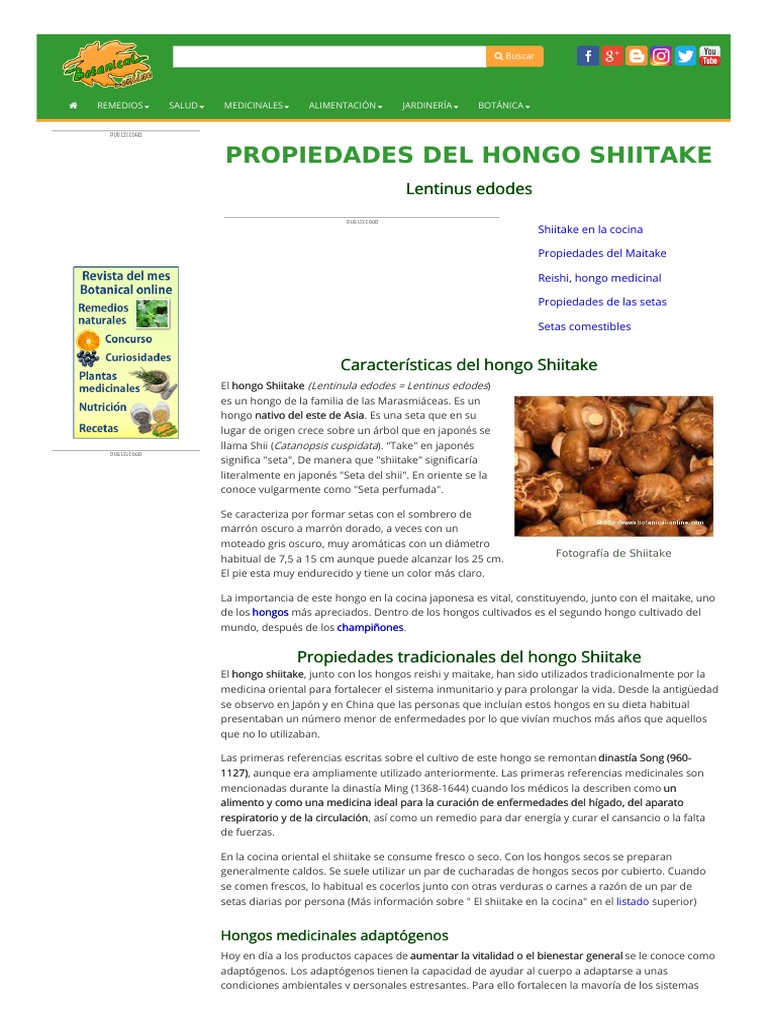Shiitake PDF Cáncer Alimentos
