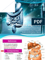 Sistema digestivo: Definición, componentes y funciones