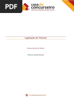6421-sistema-nacional-de-transito-leandro-macedo.pdf