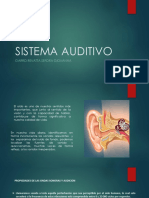 Sistema Auditivo.pptx