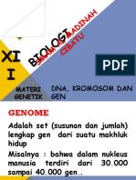 DNA, Kromosom