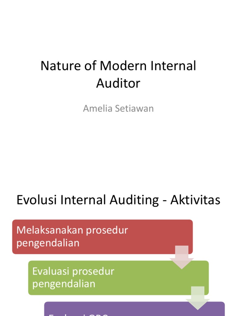 1 Nature of Audit Internal-1 | PDF | Internal Audit | Audit