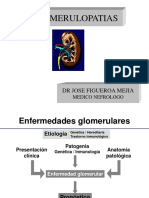 Glomerulopatías: clasificación, síndromes y enfermedades glomerulares