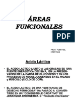 Areas Funcionales Mazza