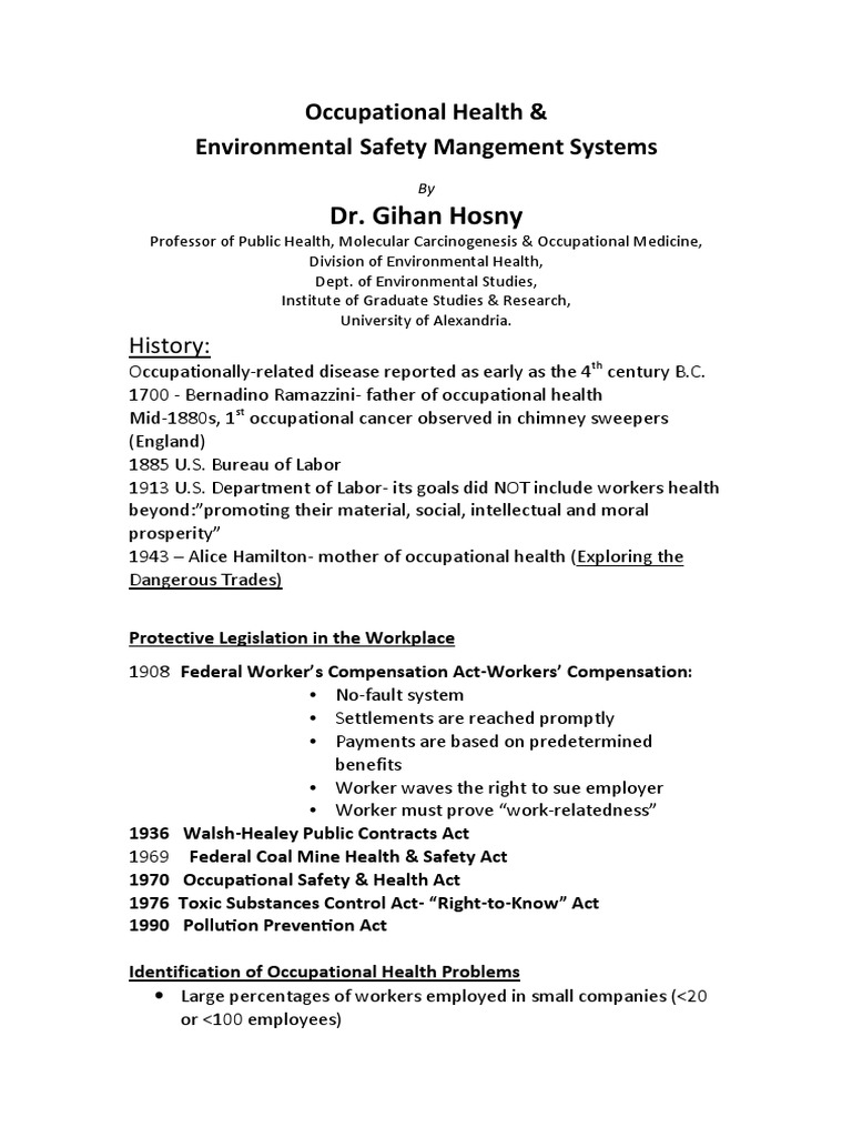 Occupational Health & Safety Systems Guide | PDF | Occupational Safety ...