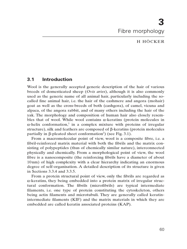Wool | PDF | Amino Acid | Proteins
