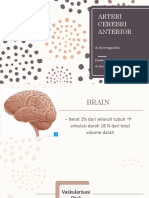 Arteri Cerebri Anterior - Dot