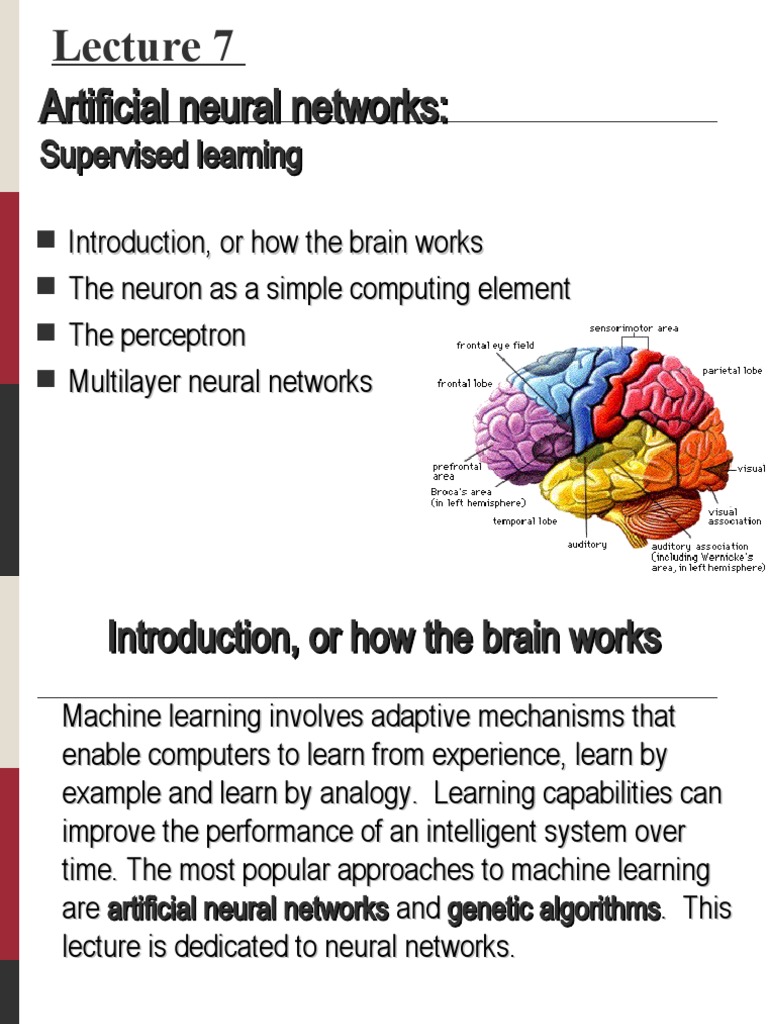 Understanding Perceptron Learning | PDF | Artificial Neural Network | Brain