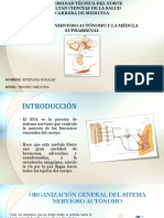 SNA y Médula Suprarrenal