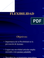 Flexibilidad l (1)