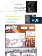 Ginecología - Embriología Biología Molecular