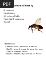 Taxonomic Classification of Housefly | PDF | Pupa | Fly