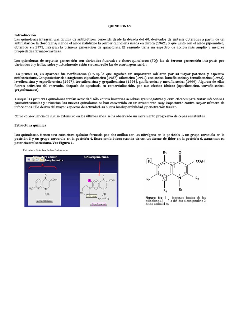 Quinolonas Urinary Tract Infection Immunology