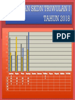 CAKUPAN SKDN TRIWULAN I TAHUN 2018.pptx