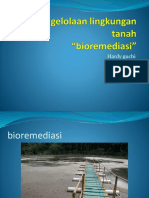 Materi-13 Bioremediasi