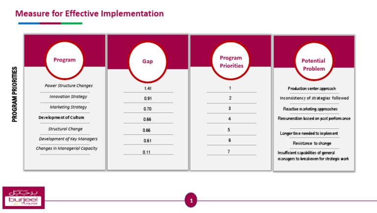 Effective Program Implementation Gaps | PDF