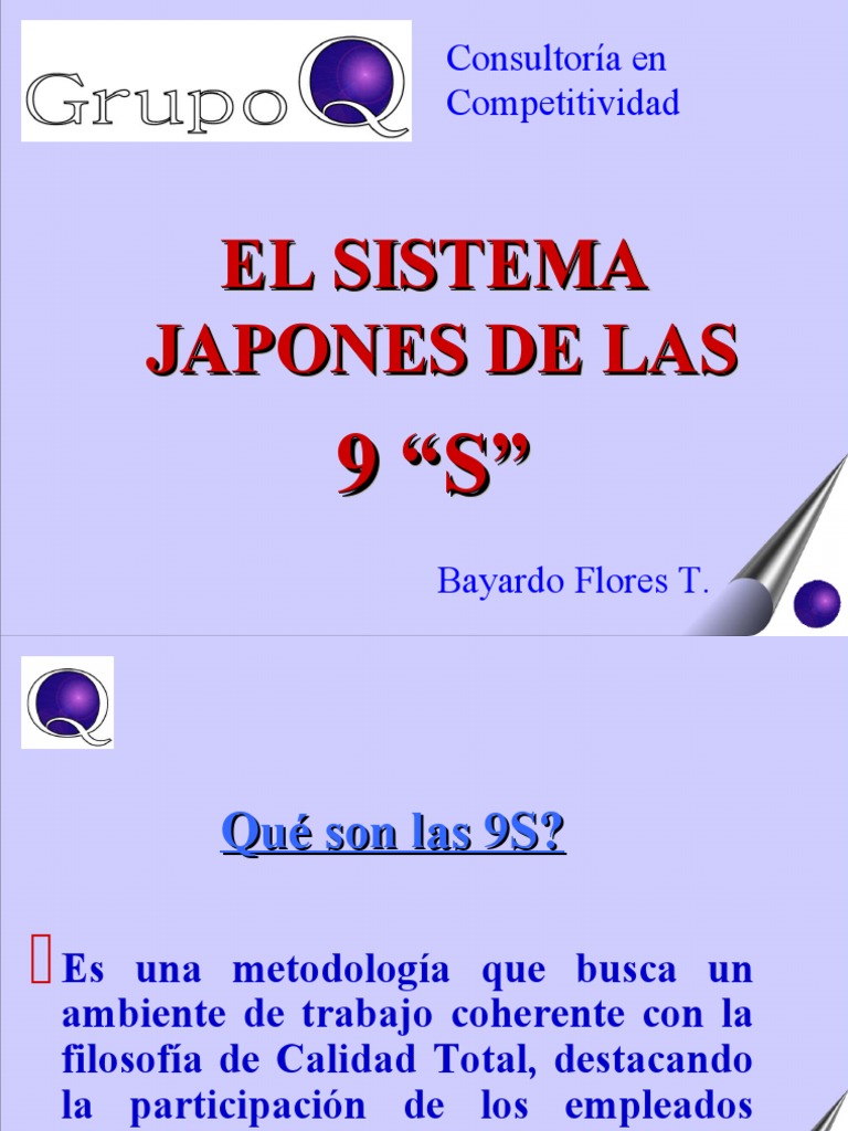 Metodología 9S para Mejora Laboral | PDF | Negocios | Relaciones ...