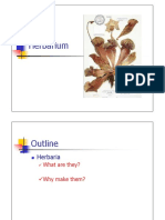 Herbarium PDF