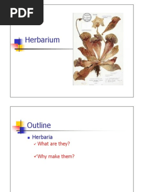 11. herbarium.pdf