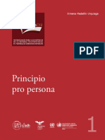5.- Principio Pro Persona.