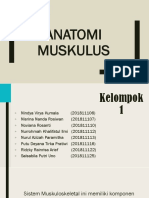 Anatomi Muskuloskeletal