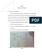 Makalah Pemurnian DNA