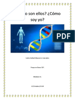 MascorroGonzalez CarlosRafael M16S2 Elciclocelular