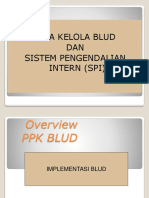 Tata Kelola BLUD Dan Sistem Pengendalian Intern (SPI)