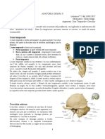 08 - Anatomia II - 18.01.2017 - R.pdf