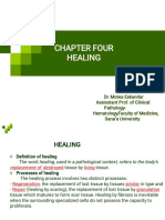 Chapter Four Healing