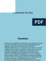 Anatomie20du20foie 1