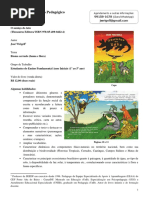 Proposta Pedagógica - O Sumiço Do Tatu