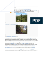 Forest: This Article Is About A Community of Trees. For Other Uses, See