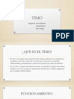 Timo Trabajo