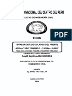 Tesis Yanango-uncp (1)