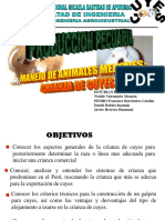 Diapositivas Del Cuy