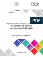 Manual_Director.pdf