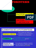 90667715-La-Fotosintesis.pdf