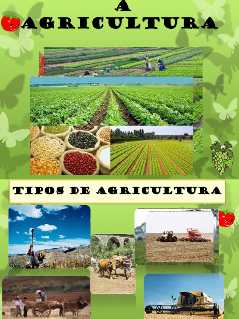 Tipos de Agricultura e Suas Características | PDF | África | Agricultura