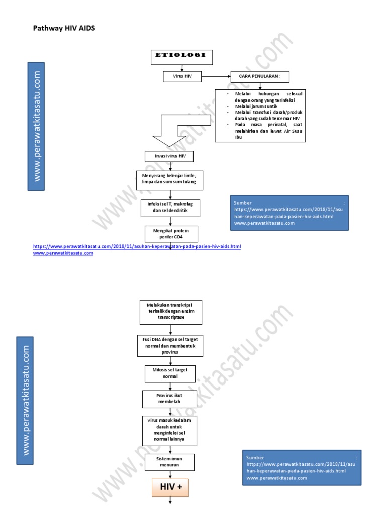 Pathway HIV AIDS | PDF