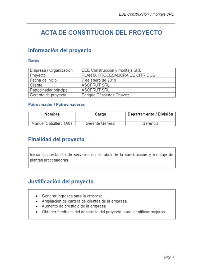 Acta de Proyecto | PDF | Presupuesto | Calidad (comercial)