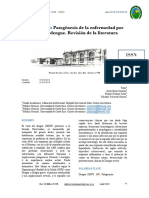 Fisio Dengue PDF