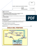 Prueb Unidad 3 1° Medio Biología