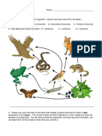 Food Web Worksheet