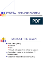 11-Central Nervous System