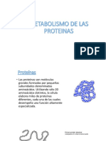 Metabolismo de Las Proteinas Expo