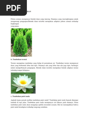 Adaptasi Tumbuhan Pdf