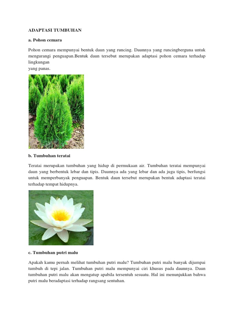 Adaptasi Tumbuhan Pdf