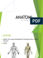 Pengantar Anatomi